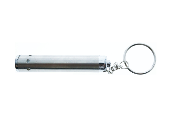 Taschenlampe des Rohr-Form-Edelstahl-LED Keychain für Geschenk-Förderung