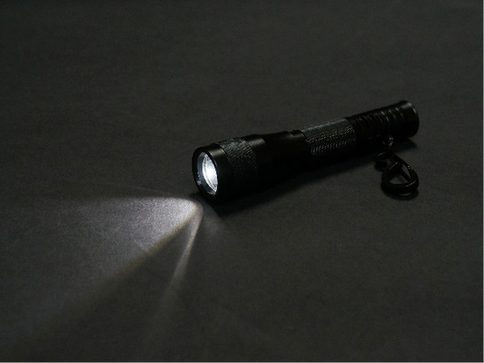 Warme Taschenlampe des Minilauten summens des Weiß-LED Keychain mit 1 * AAA-Trockenbatterie